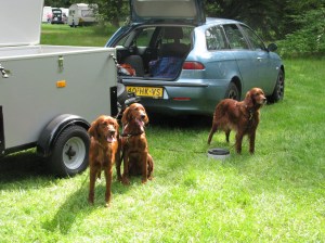 Aislinn, Kells en Gina