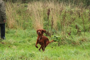 Nogmaals Aideen in actie.