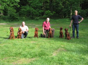 Dit is een geshopt plaatje van de familie. Foto is genomen op 25 mei tijdens de regiowandeling. V.l.n.r. : Cochise, Dusty, Aidan, Aideen, Kells en Aislinn. Aidan woont 1200 km. verder op en was er echt niet bij! 